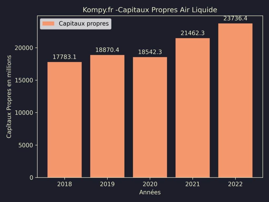 Capitaux Propres Air Liquide 2022