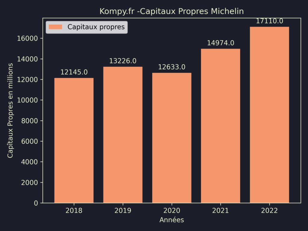Michelin Capitaux Propres 2022