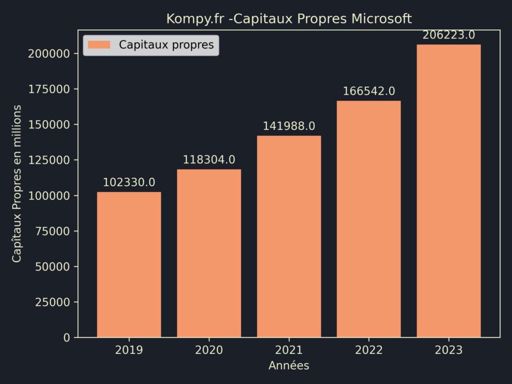 Microsoft Capitaux Propres 2023