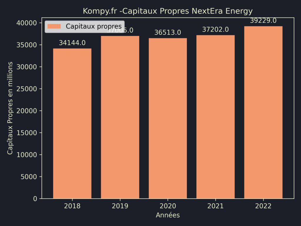 NextEra Energy Capitaux Propres 2022